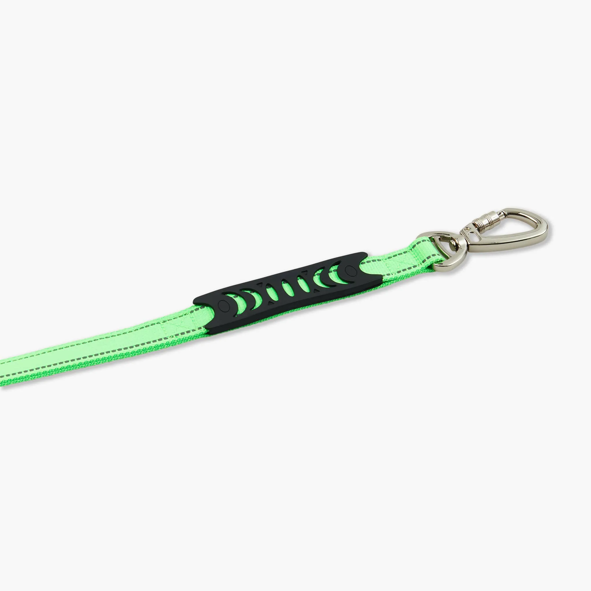 Bungee Dog Leash