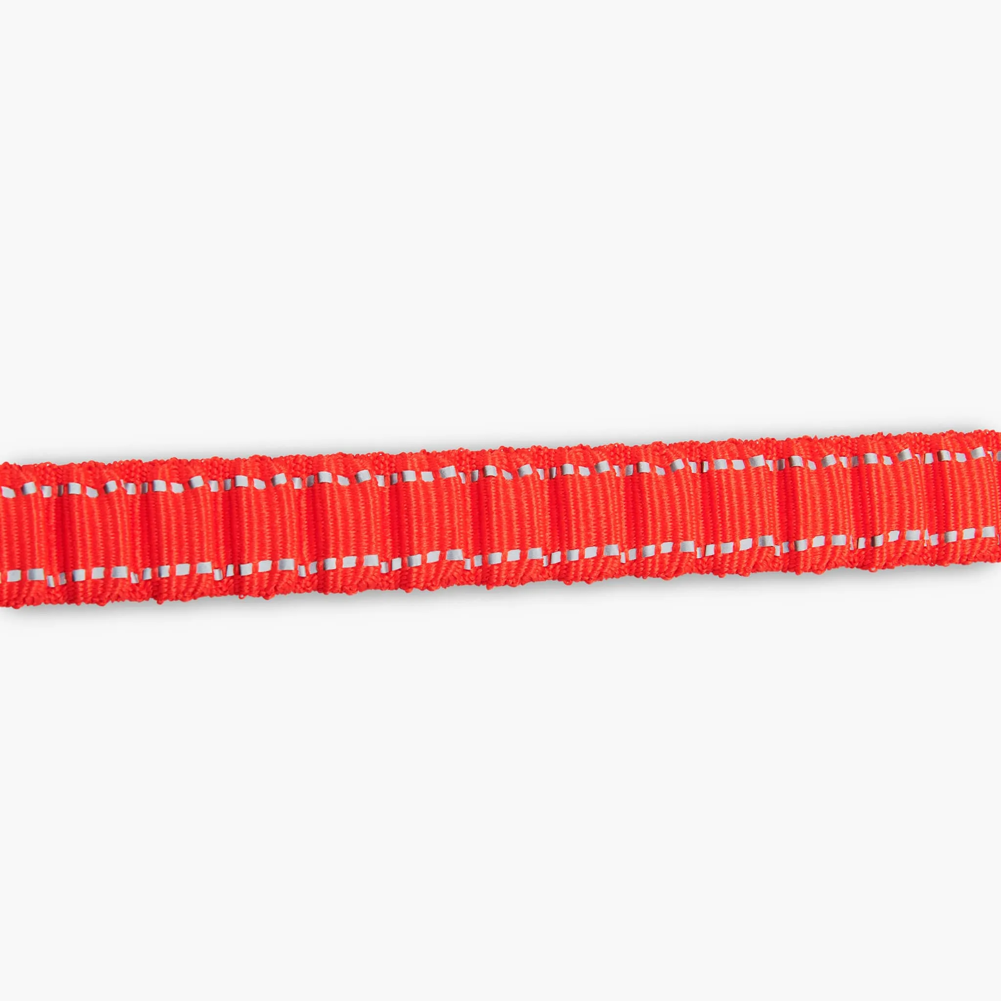 Bungee Dog Leash