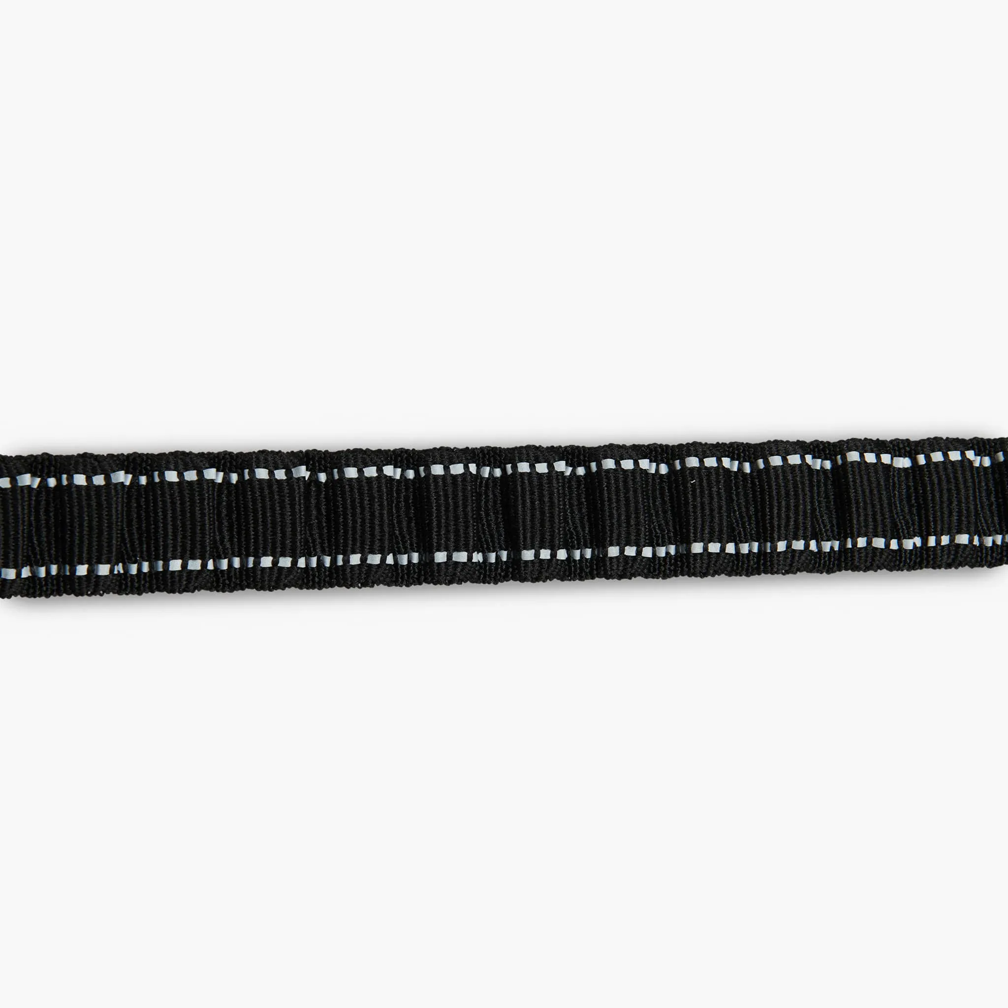 Bungee Dog Leash