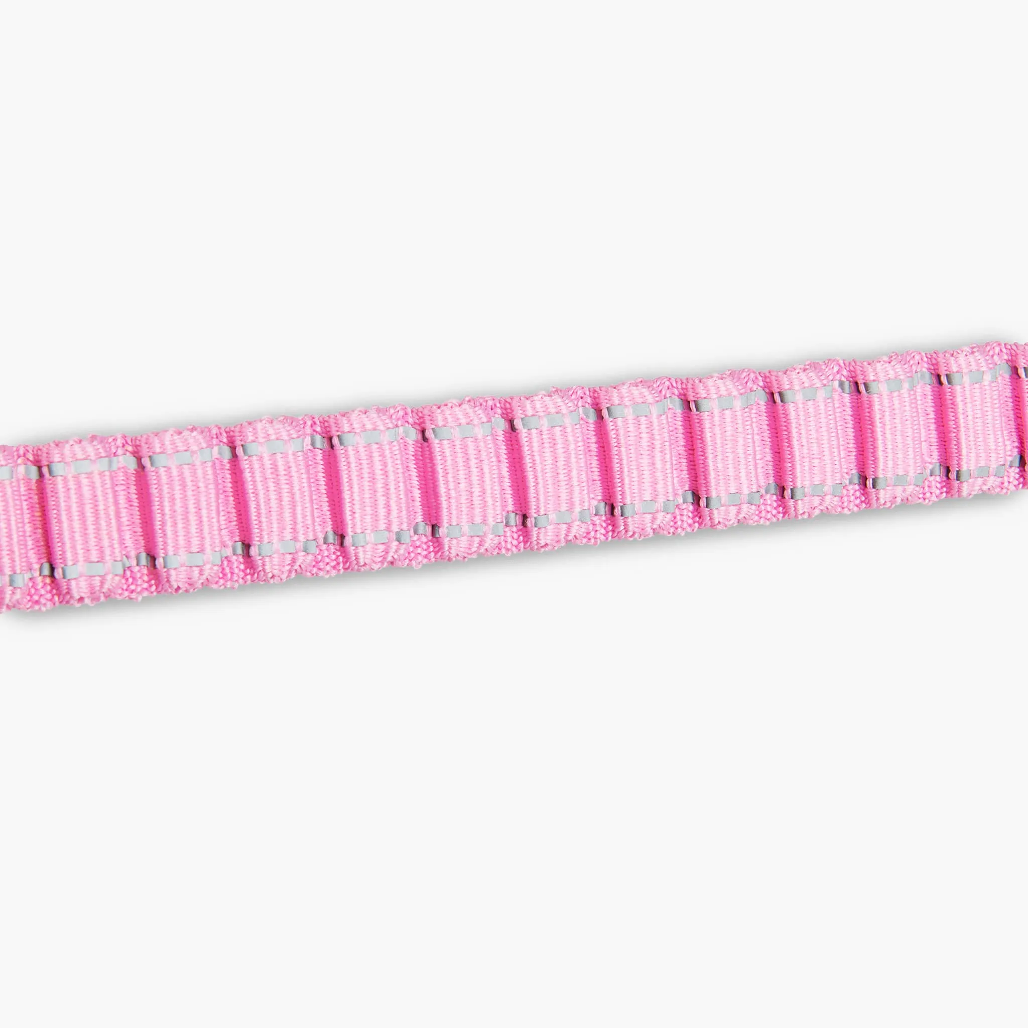 Bungee Dog Leash