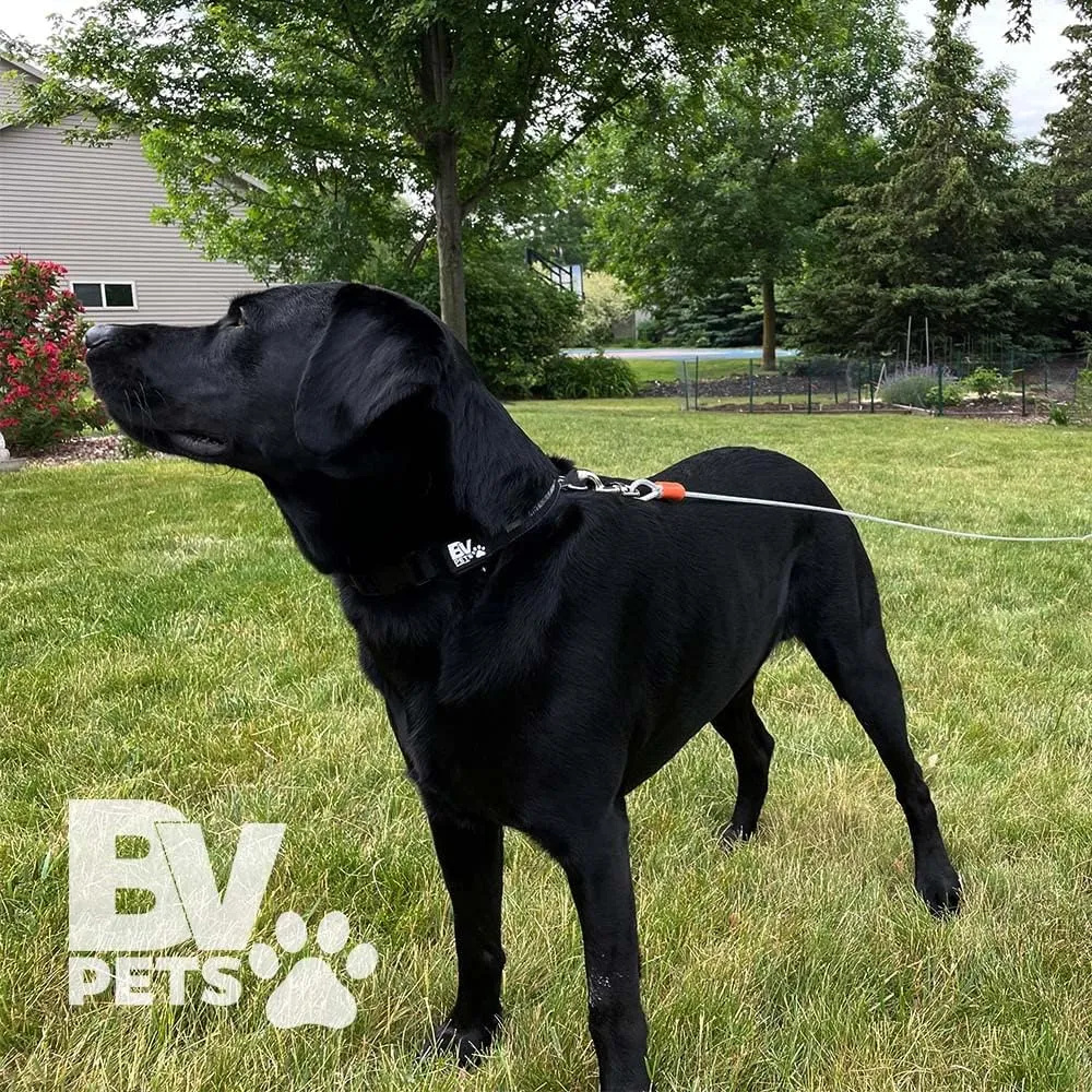 BV Dog Tie Out Cable 25 Feet - Heavy Duty Dog Lead up to 90 Pounds - Reflective & Rust-Free with Quick Release Swivel Clips & 360 Rotating Clasp - Tangle-Free Dogs Runner for Yard (Silver, Single)