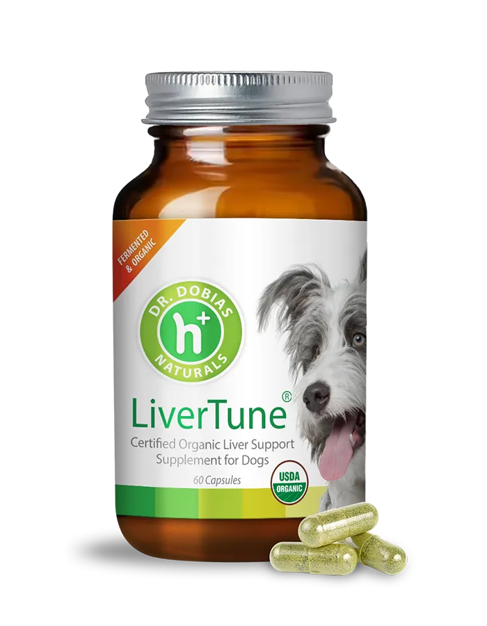 Canine Longevity Bundle