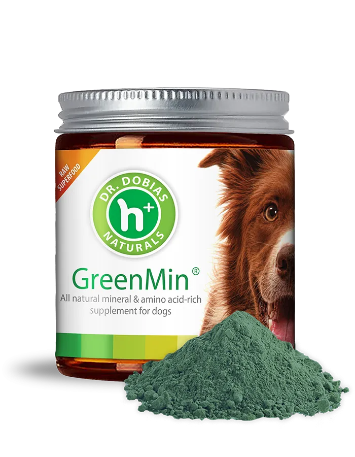 Canine Longevity Bundle