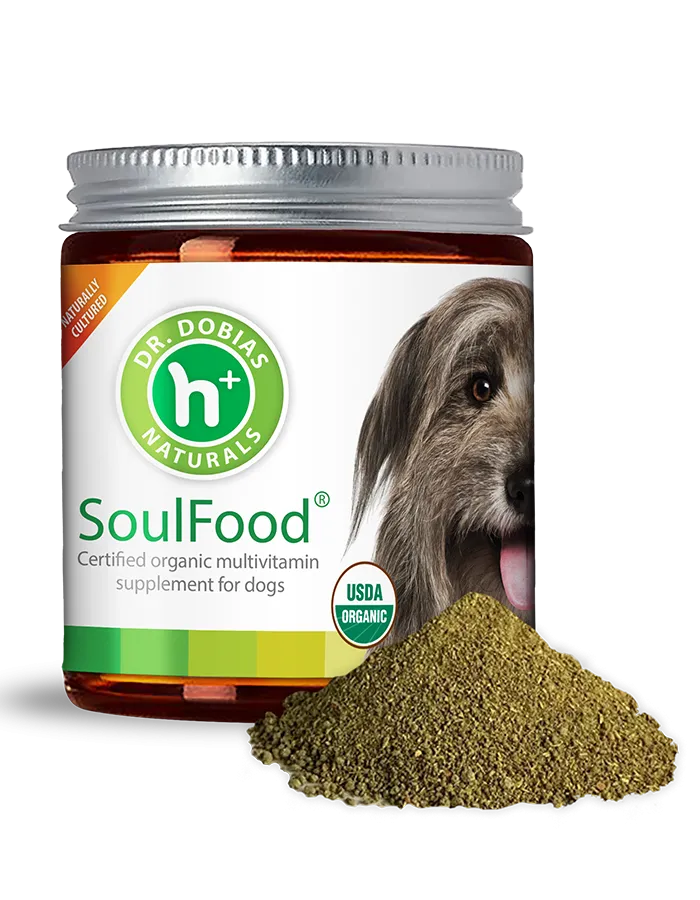 Canine Longevity Bundle