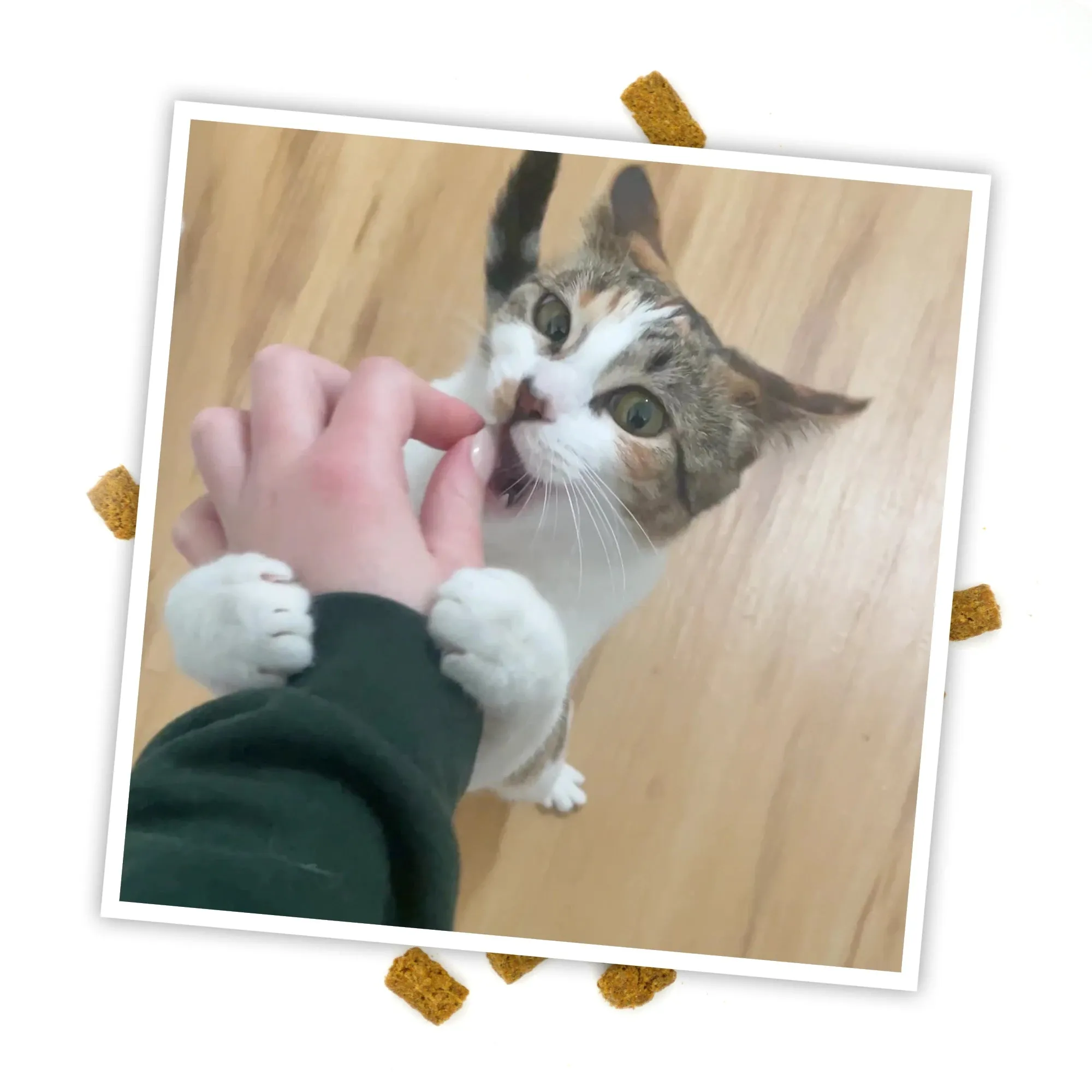 Crunchie Munchies® Chicken and Catnip Flavor Cat Treats
