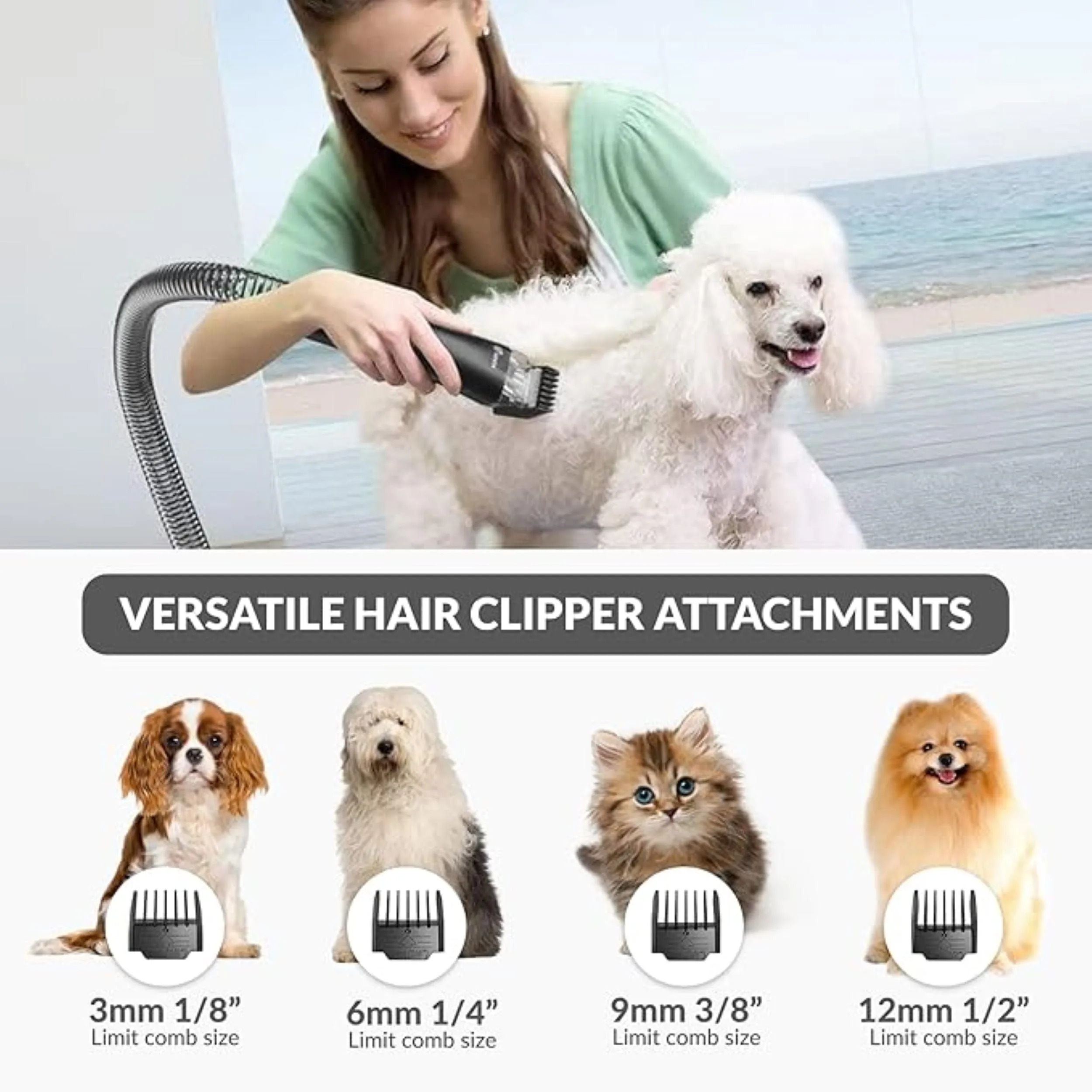 DEMO Prolux 4 in 1 Bagless Pet Grooming Vacuum