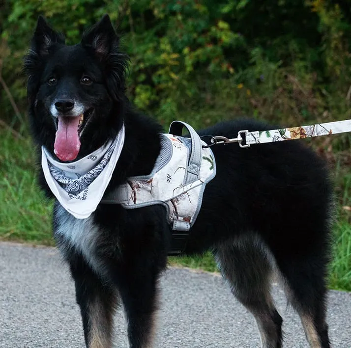 Doggy Tales Patented Realtree Hart Harness, Snow