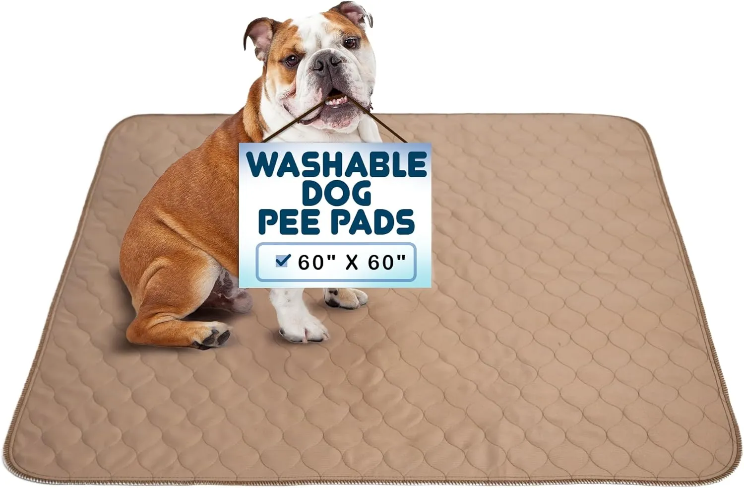 EZwhelp Reusable Dog Pee Pads - Dogs Waterproof Training Pads - Washable & Sanitary - Rounded Corners - Laminated, Lightweight, Durable - Pet Essentials Puppy Training, Whelping - 60" x 60"