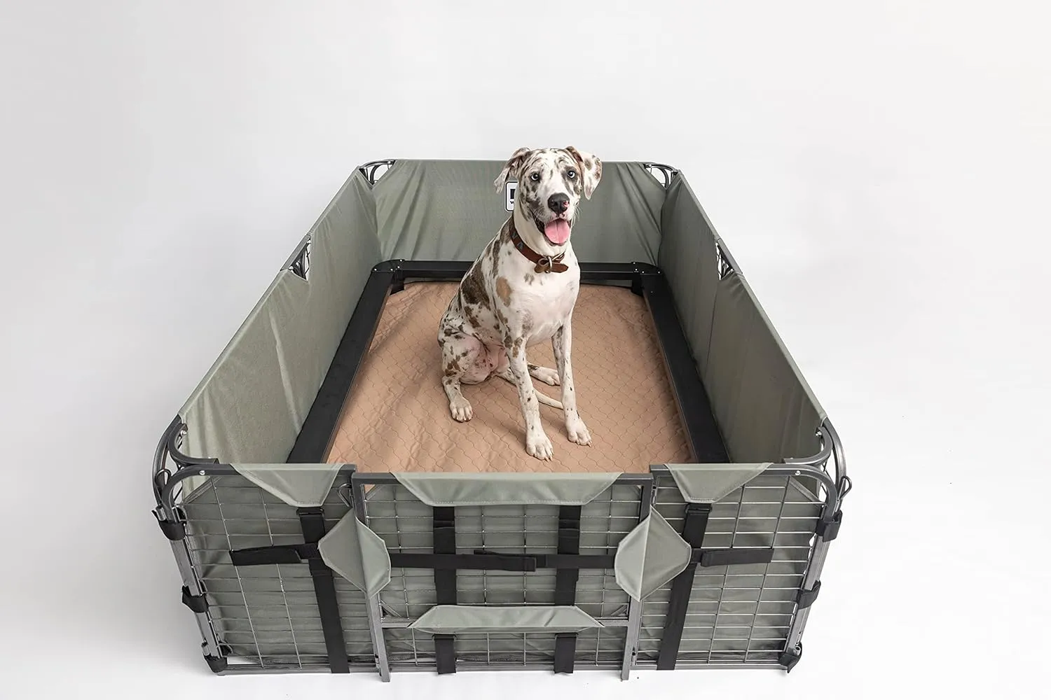 EZwhelp Reusable Dog Pee Pads - Dogs Waterproof Training Pads - Washable & Sanitary - Rounded Corners - Laminated, Lightweight, Durable - Pet Essentials Puppy Training, Whelping - 60" x 60"