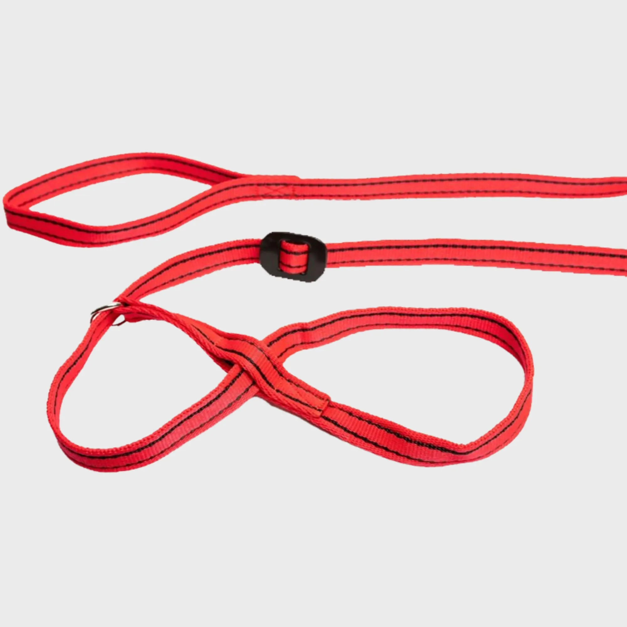 Gencon Head Collar