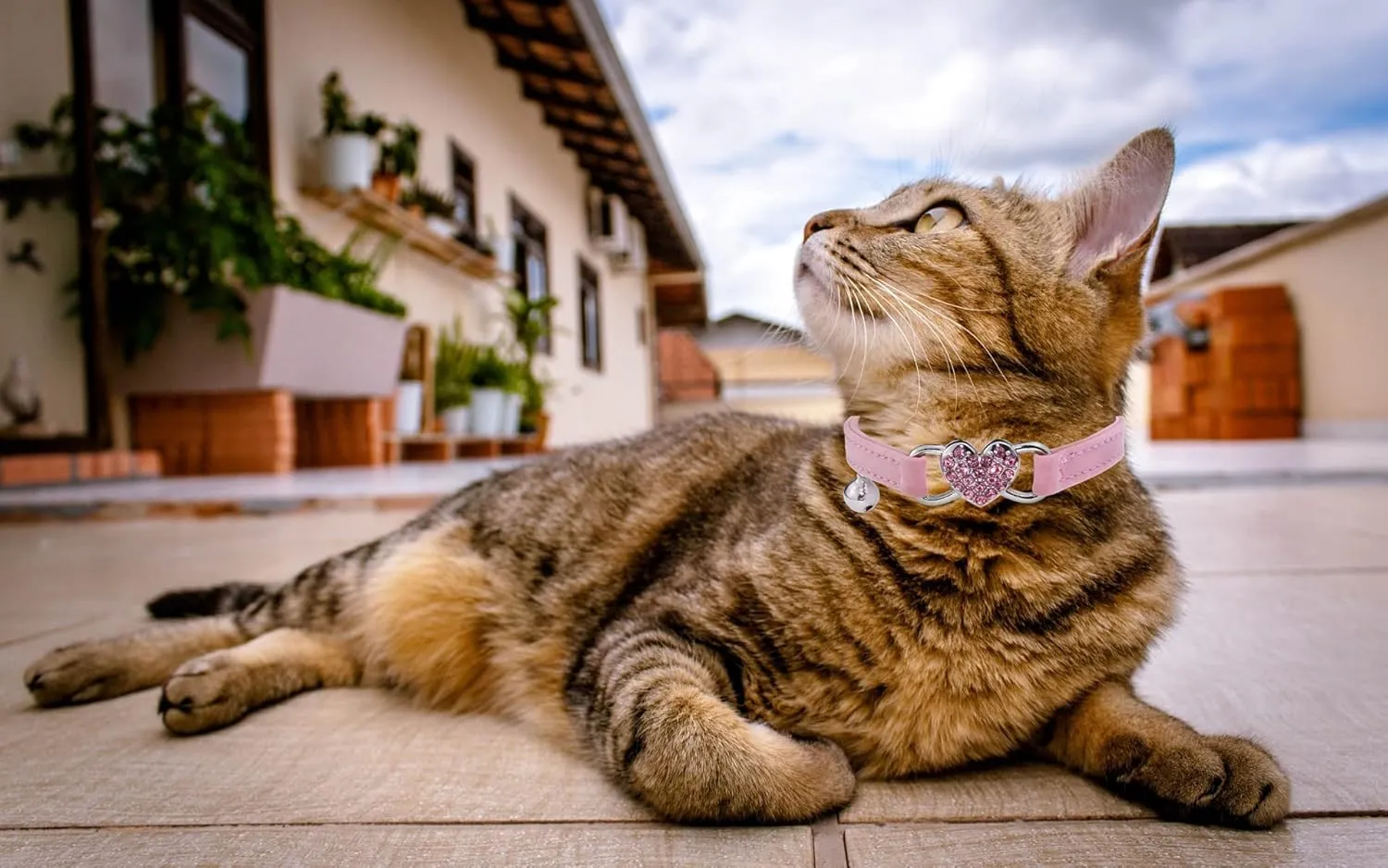 Heart Bling Cat Collar with Safety Belt and Bell Adjustable 8-10 inches for Kitten Cats (Pink)