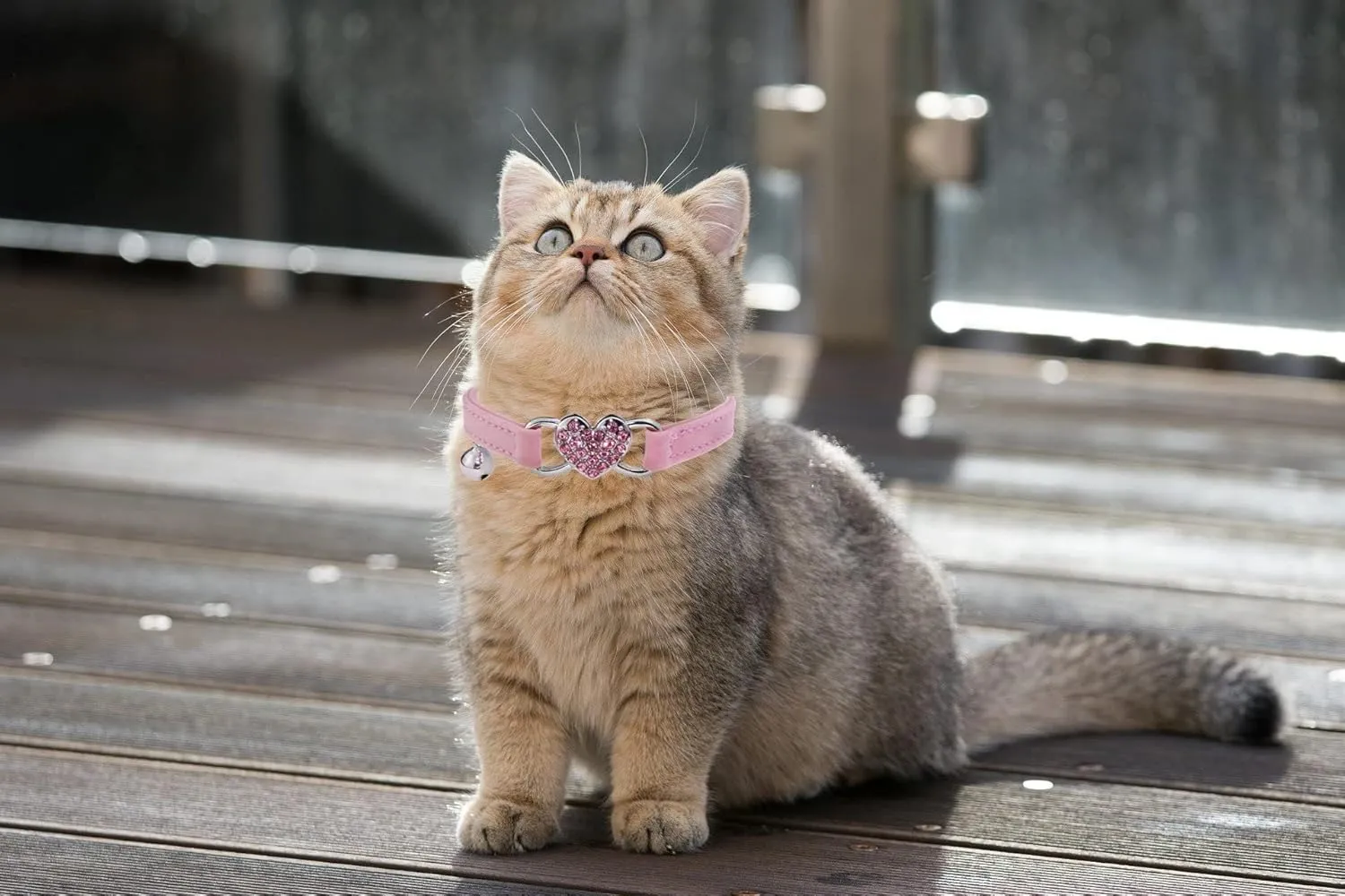 Heart Bling Cat Collar with Safety Belt and Bell Adjustable 8-10 inches for Kitten Cats (Pink)