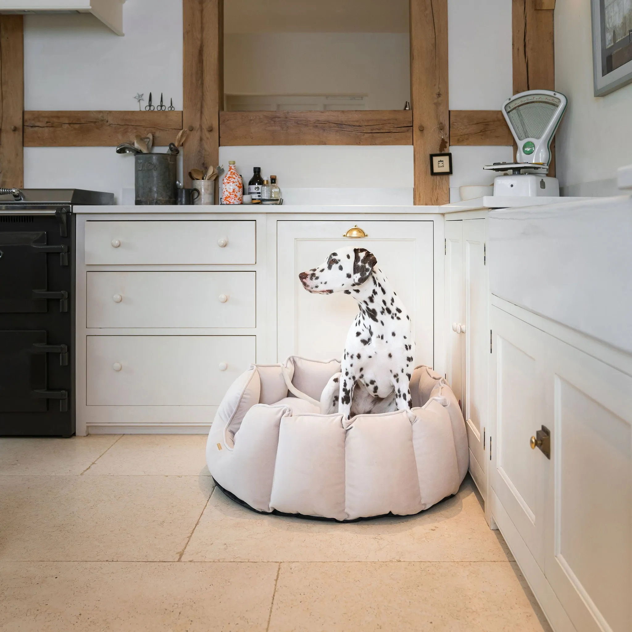 High Wall Bed With Removable Covers in Oyster Velvet by Lords & Labradors