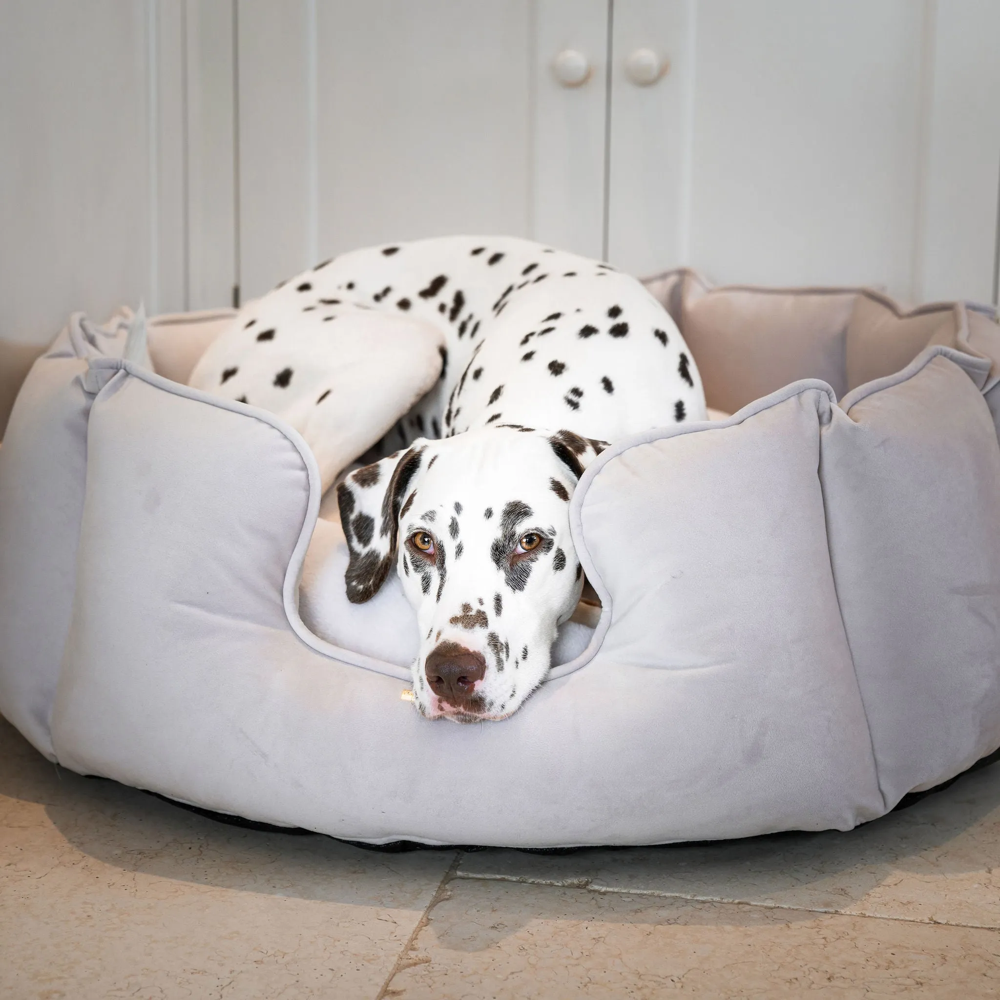 High Wall Bed With Removable Covers in Oyster Velvet by Lords & Labradors