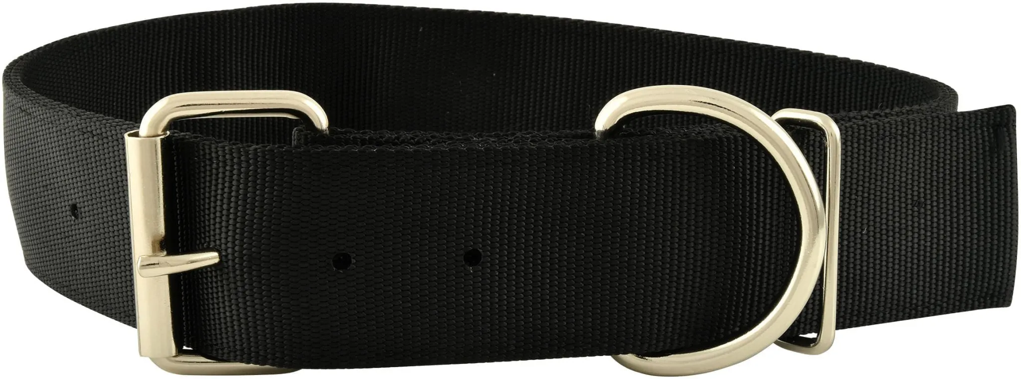 Jeffers Large Breed Nylon Dog Collars, 2" x 19"-23.5"