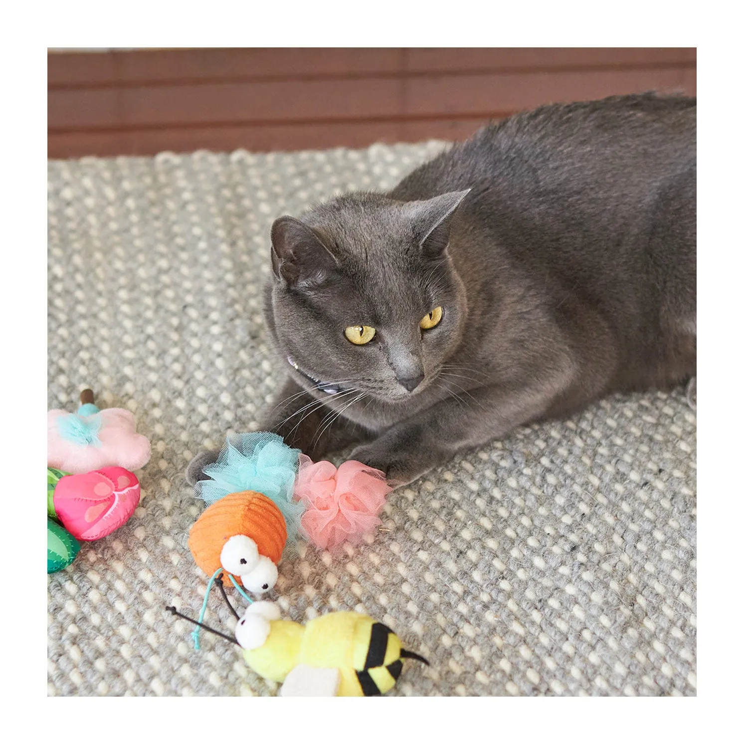 Kazoo Garden Treats with Silvervine Cat Toy 2pk