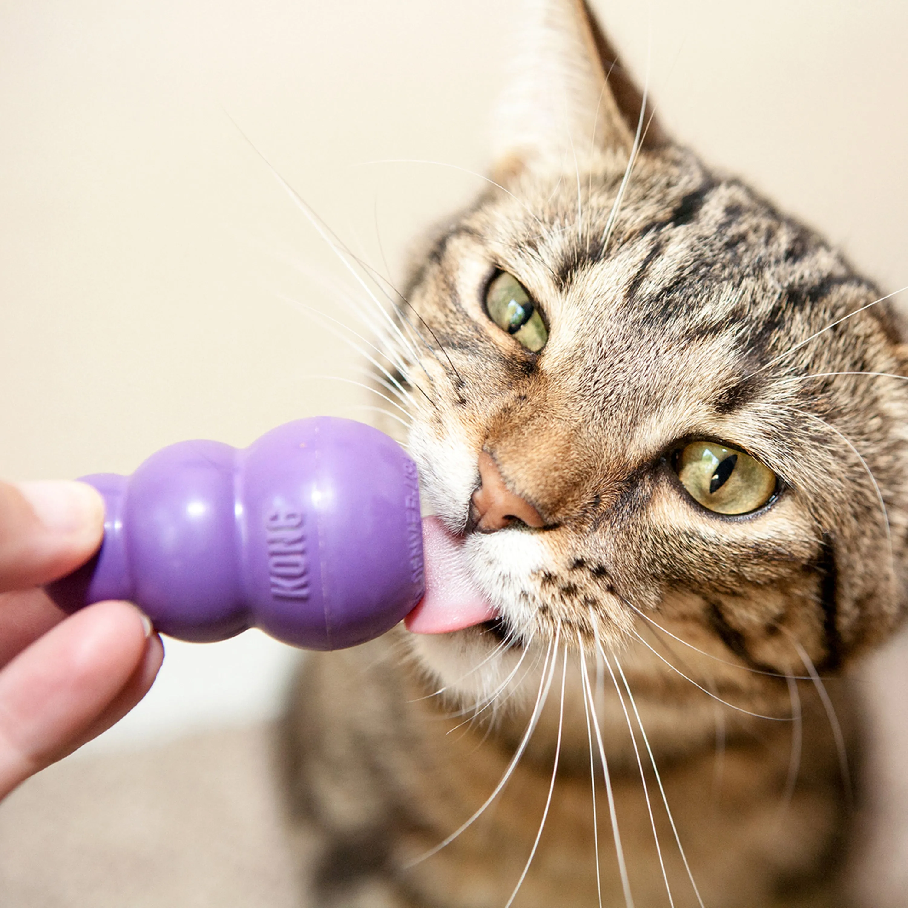 Kong - Kitty KONG Cat Toy