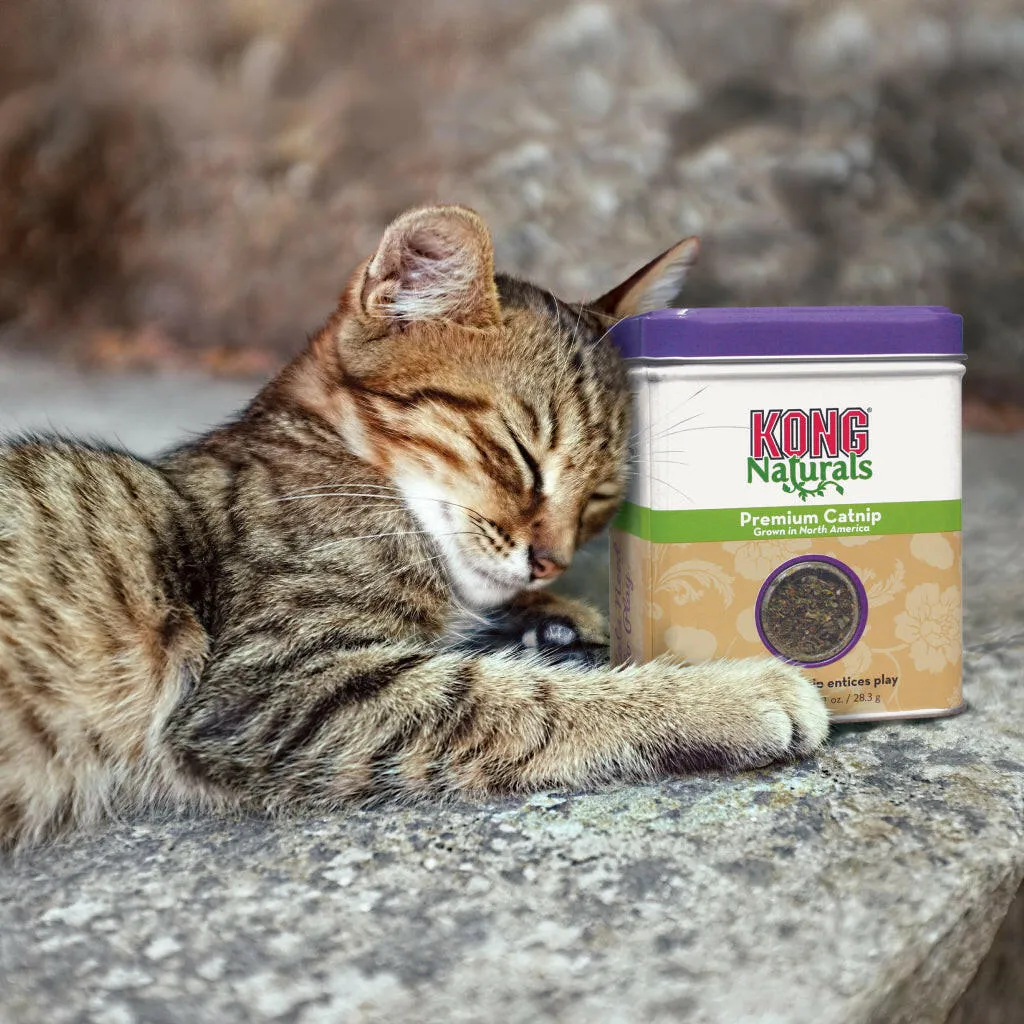 KONG Naturals Premium North American Catnip for Cats
