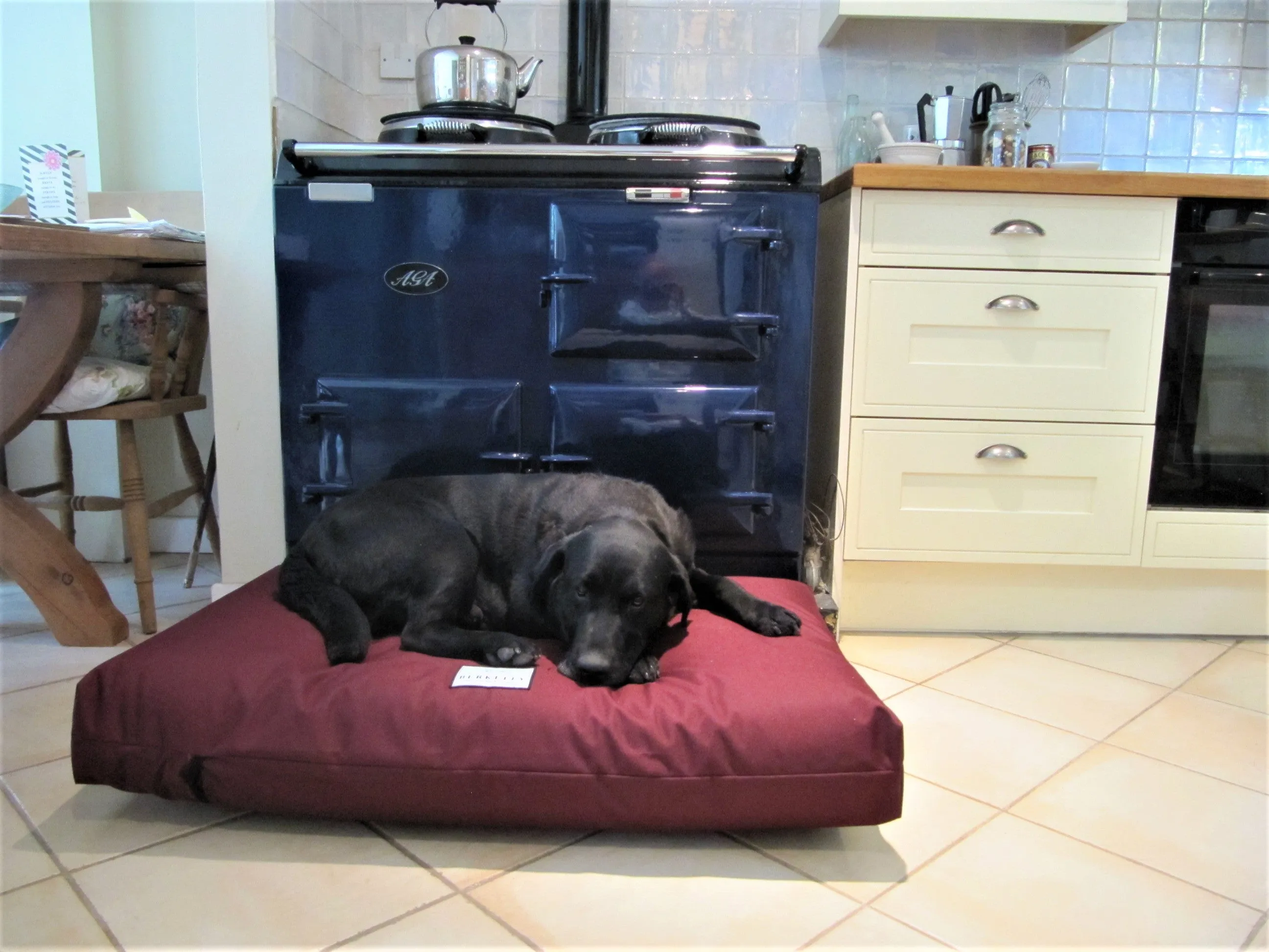 Large Orthopaedic Dog Beds