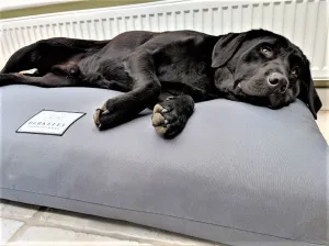 Large Orthopaedic Dog Beds