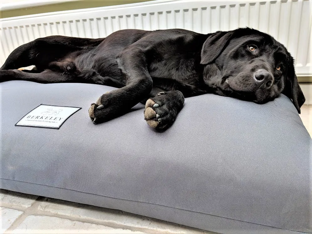 Large Orthopaedic Dog Beds