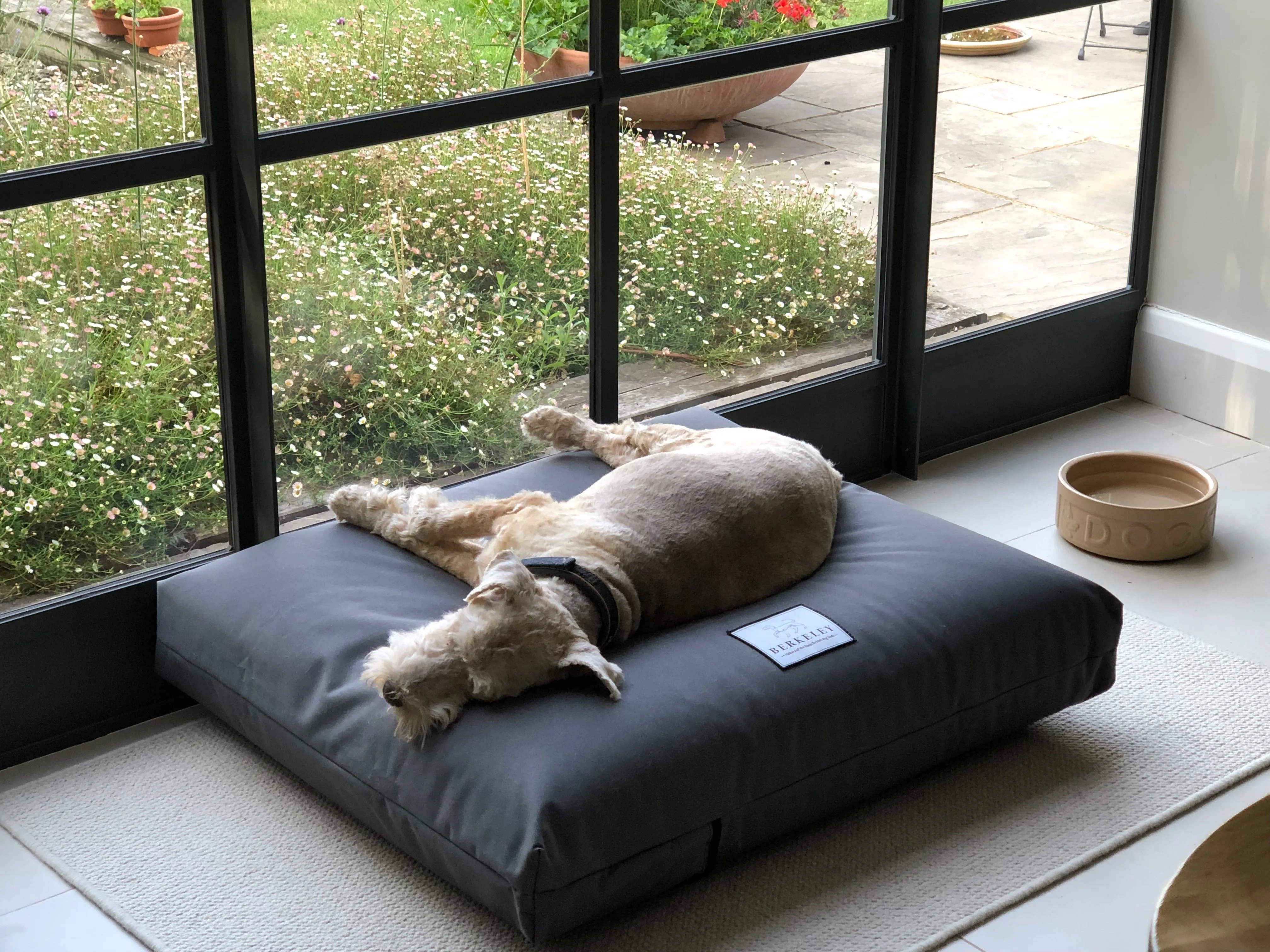 Large Orthopaedic Dog Beds