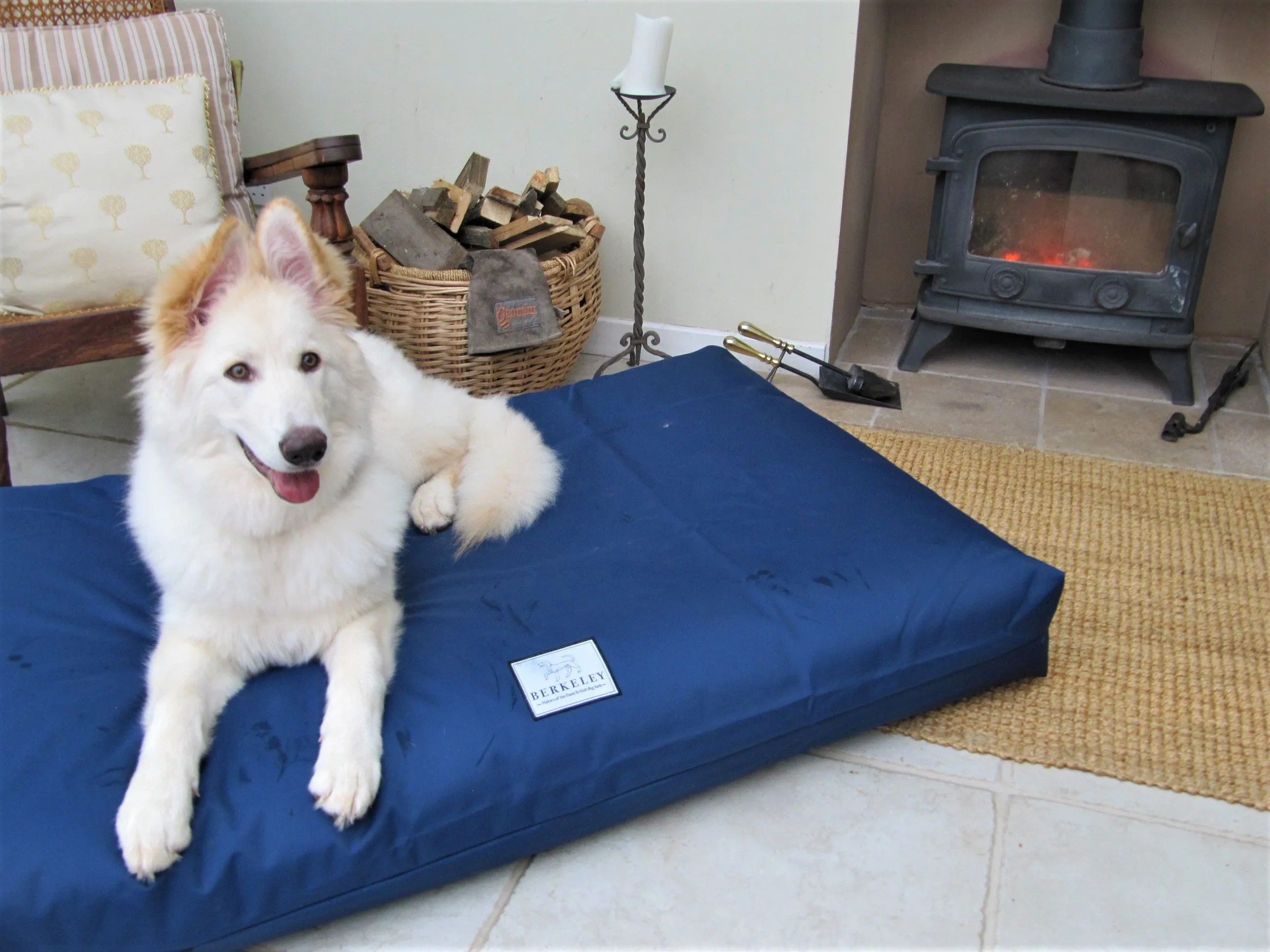 Large Orthopaedic Dog Beds