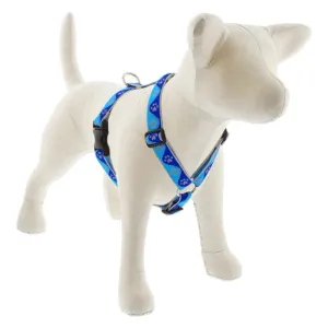 Lupine Reflective Roman Dog Harness 1" Wide 20"-32" Girth Blue Paws