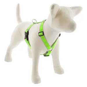 Lupine Reflective Roman Dog Harness 1" Wide 20"-32" Girth Green Diamond