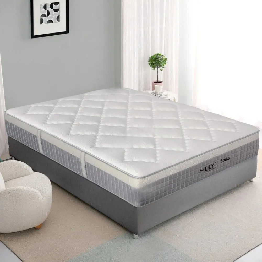 MLILY Lotus Queen Hybrid Mattress