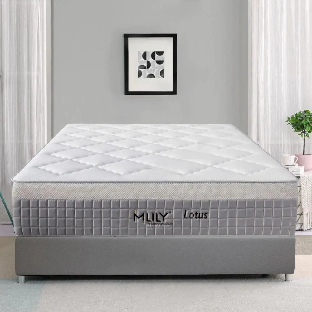 MLILY Lotus Queen Hybrid Mattress