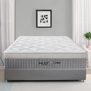 MLILY Lotus Queen Hybrid Mattress