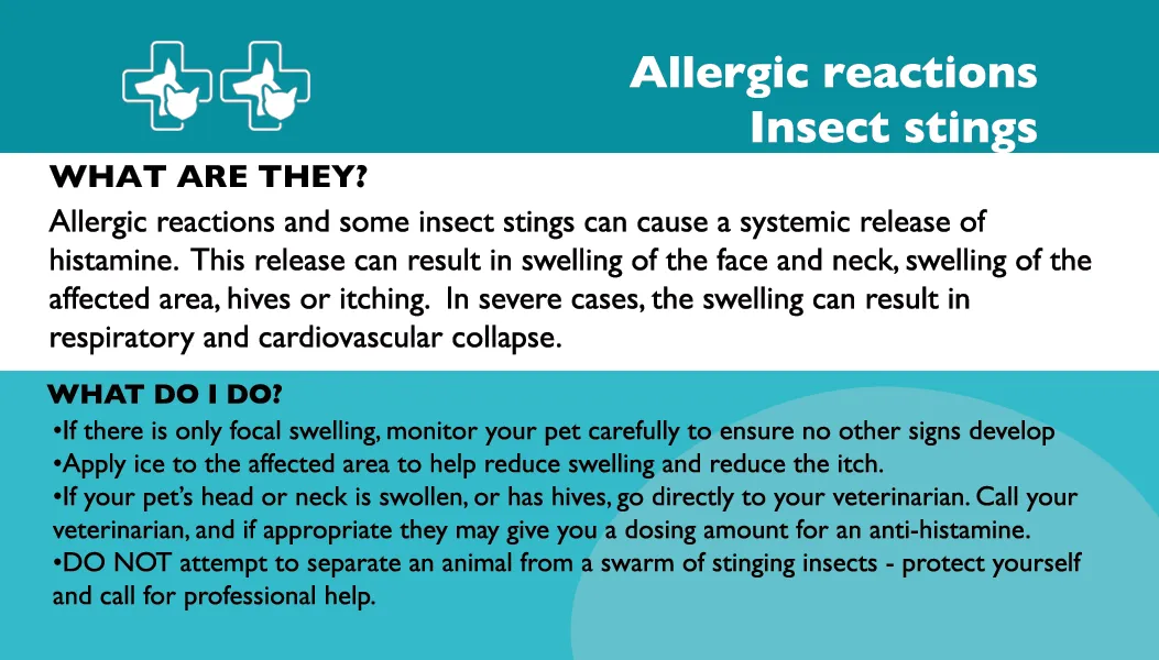 Pet First Aid (Veterinary edition)