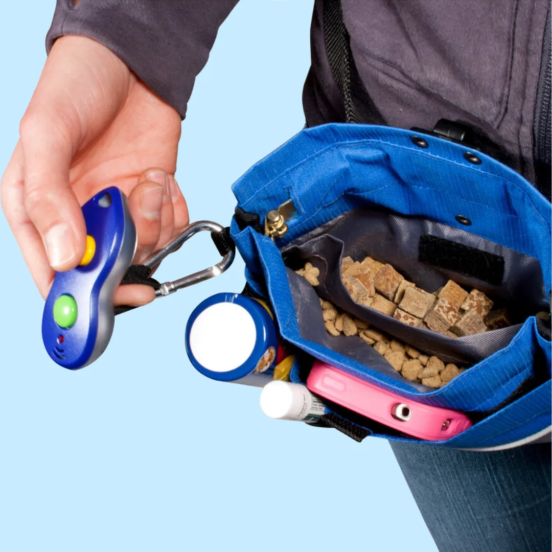 Petsafe Treat Pouch Black