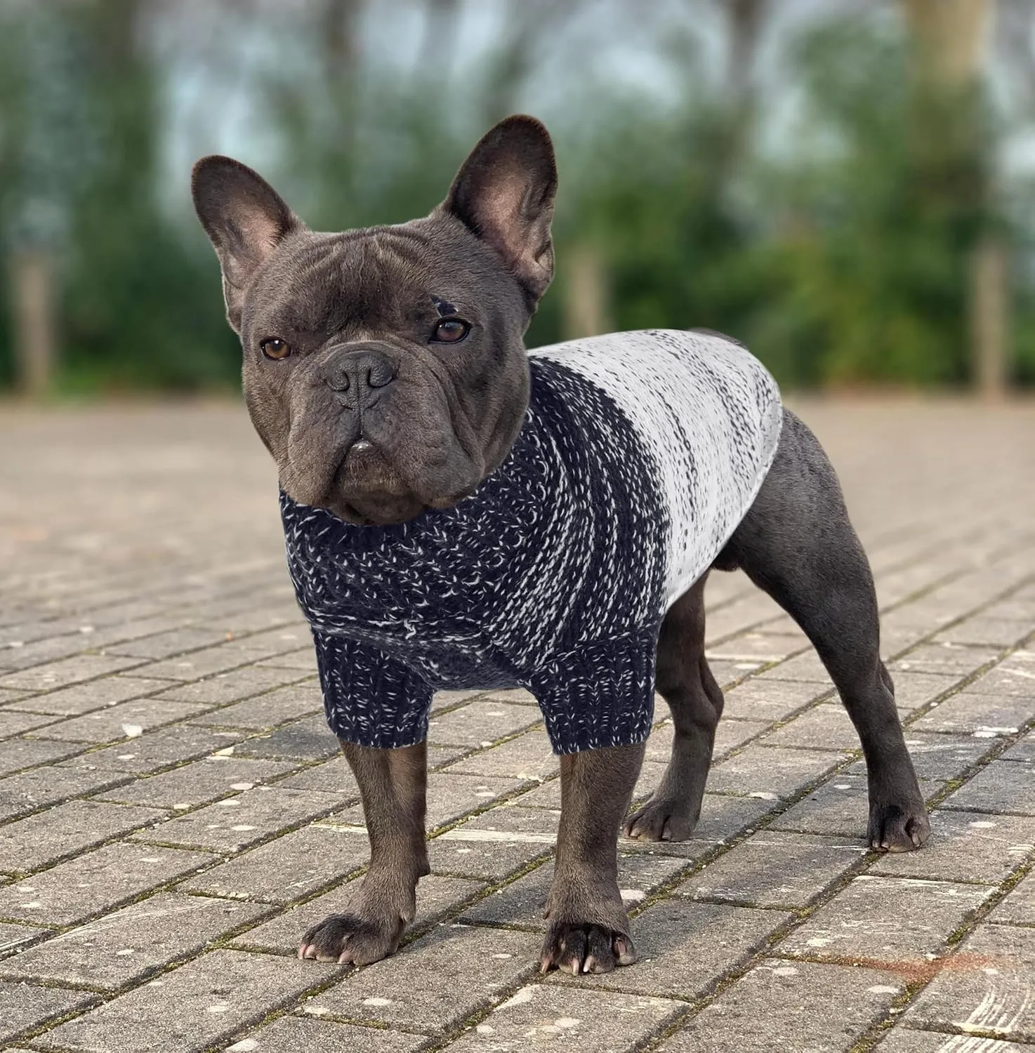 Queenmore Knitted Pullover Dog Sweater, Turtleneck Pet Cat Sweater, Cold Weather Puppy Clothes Stitching Knitwear with Leash Hole for Small Medium DogsDark Blue,XS