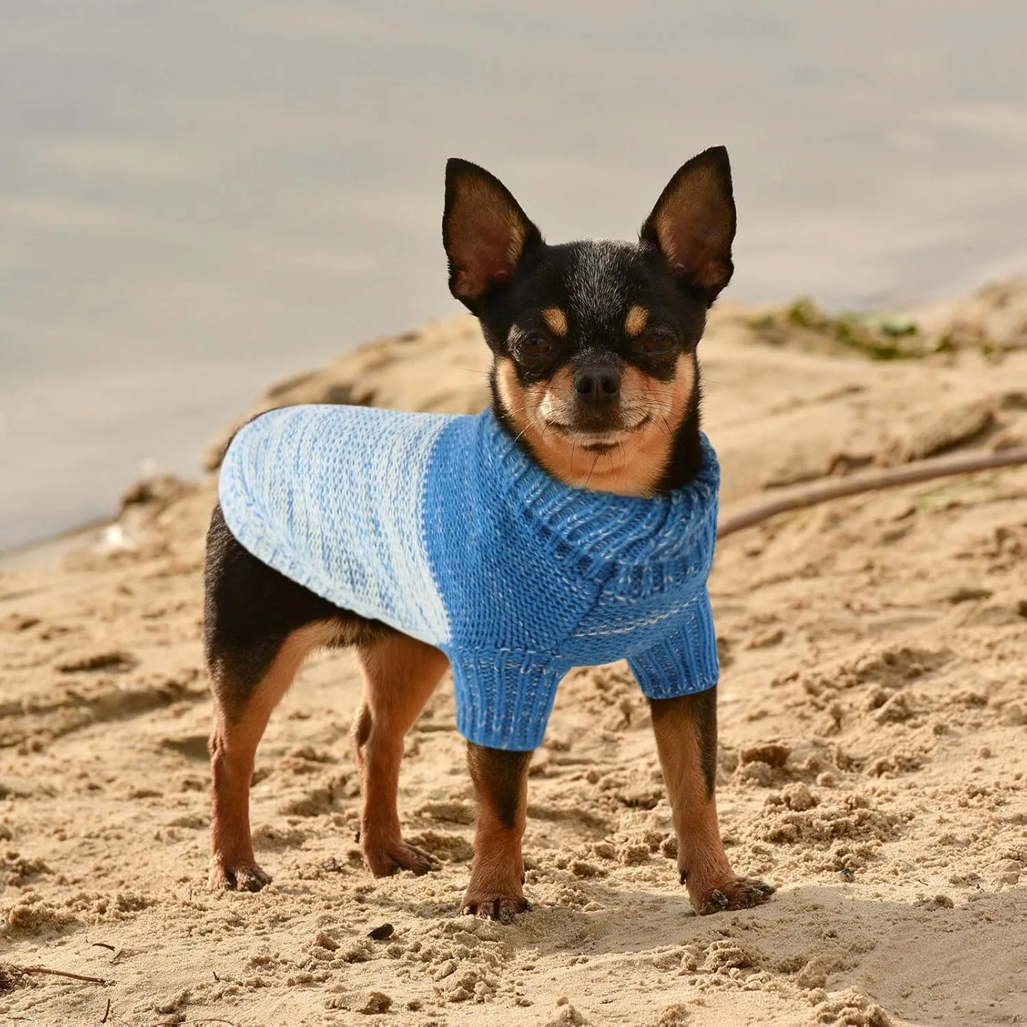 Queenmore Knitted Pullover Dog Sweater, Turtleneck Pet Cat Sweater, Cold Weather Puppy Clothes Stitching Knitwear with Leash Hole for Small Medium DogsRoyal Blue,XL