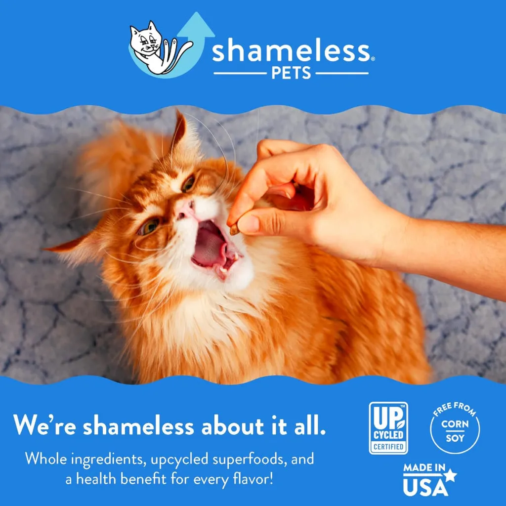 Shameless Pets Fintastic Catnip Crunchy Treats For Cats (2.5 oz)