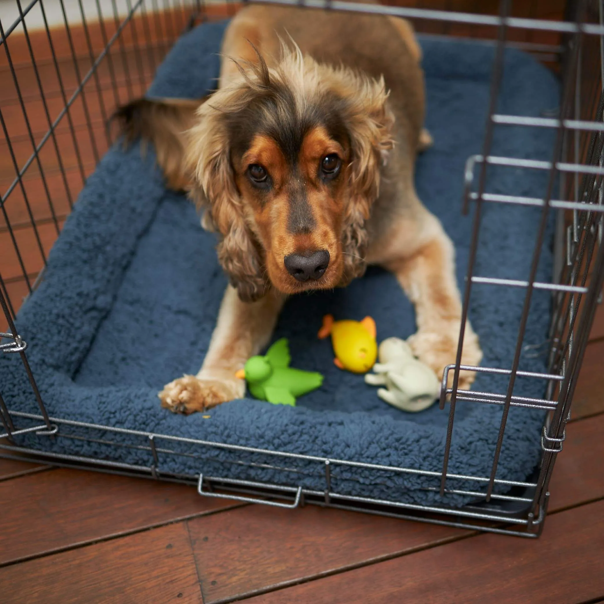 Soft Dog Crate Cushion