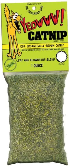 Yeowww! Catnip