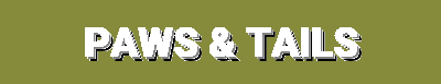 Flash Deals, Seasonal Favorites, Best Selling & New Arrivals - Exclusive Pet Products